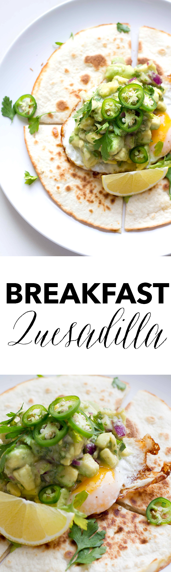 This breakfast quesadilla recipe is filled with melted mozzarella cheese, topped with a fried egg and some spicy guacamole. It definitely packs a breakfast punch! www.seriousspice.com